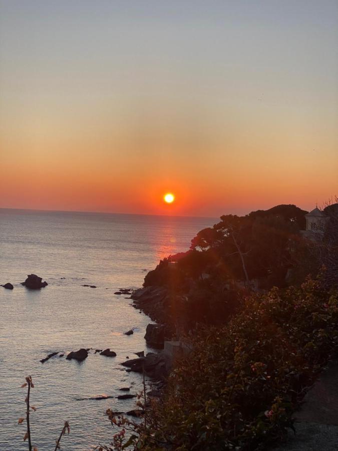 Bogliasco Wine Loft Exterior photo